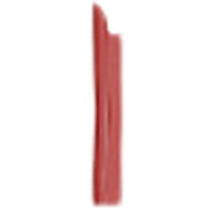 L'Oréal Paris Color Riche Satin Nudes 176 Nu Irreverent