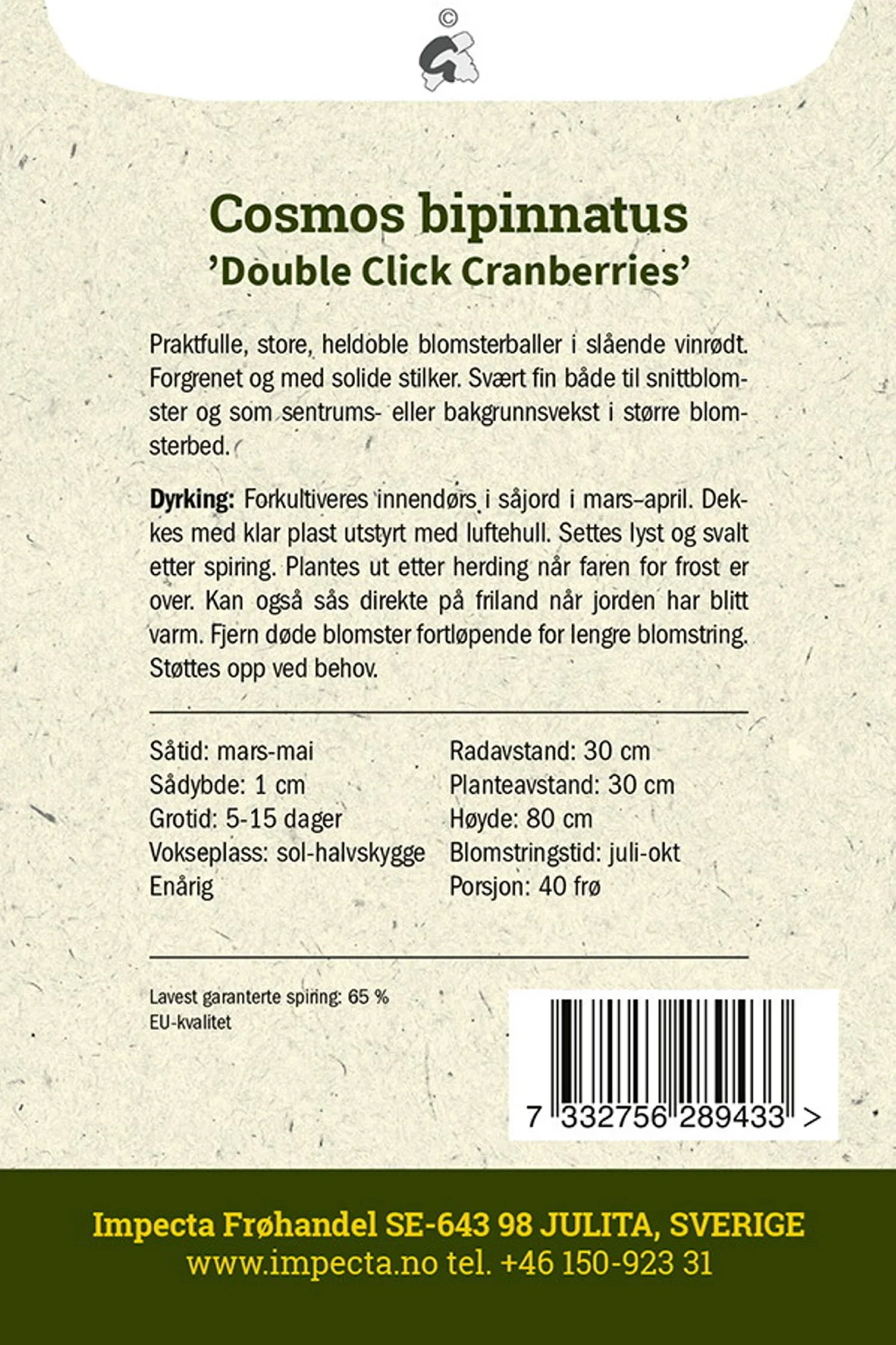 Cosmos bipinnatus 'Double Click Cranberries' Pyntekurv  'Double Click Cranberries'
