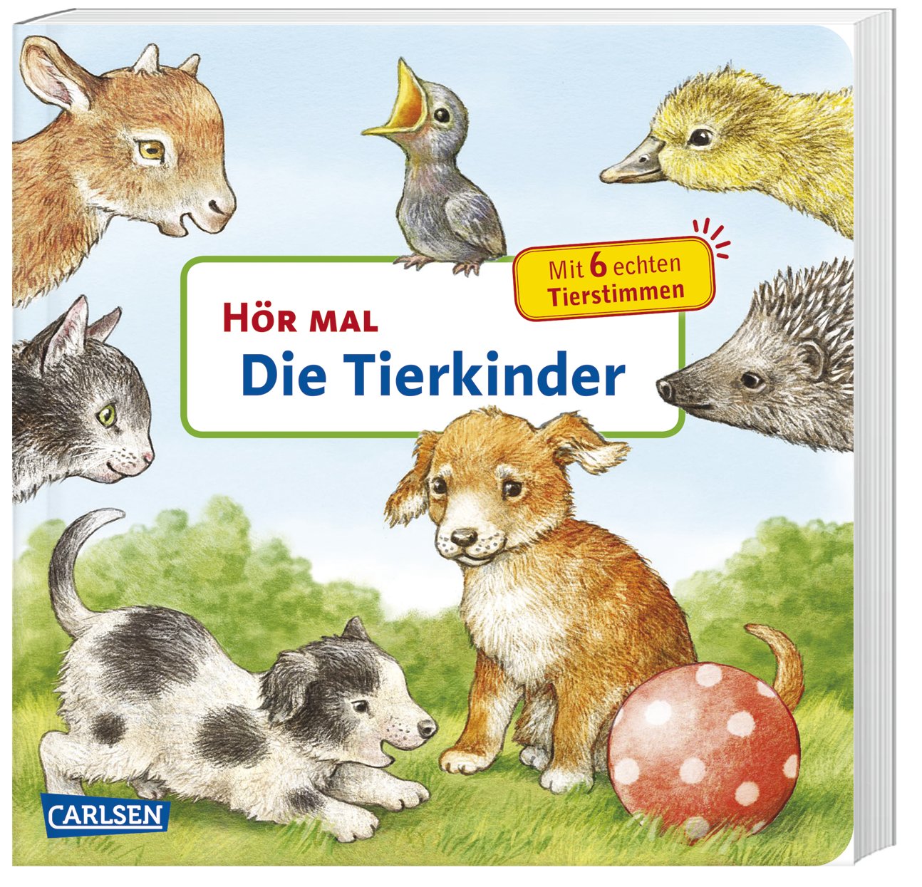 Die Tierkinder / Hör mal Bd.11