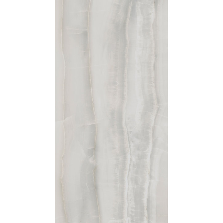 Carrelage sol et mur argent brillant Onyx 60 x 120 cm