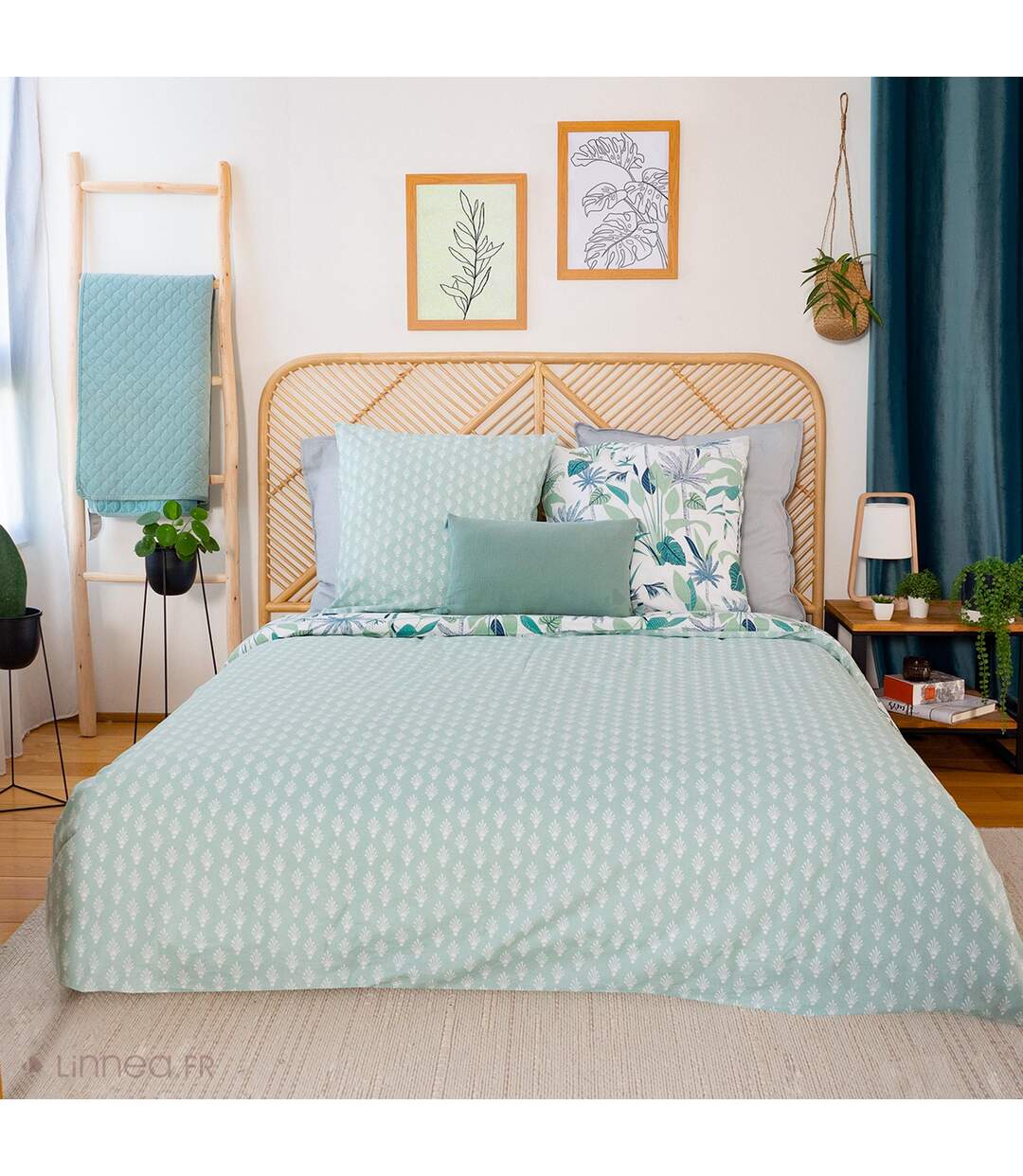 Parure de lit 260x240 cm coton bci adouci ALISCO bleu 3 pièces