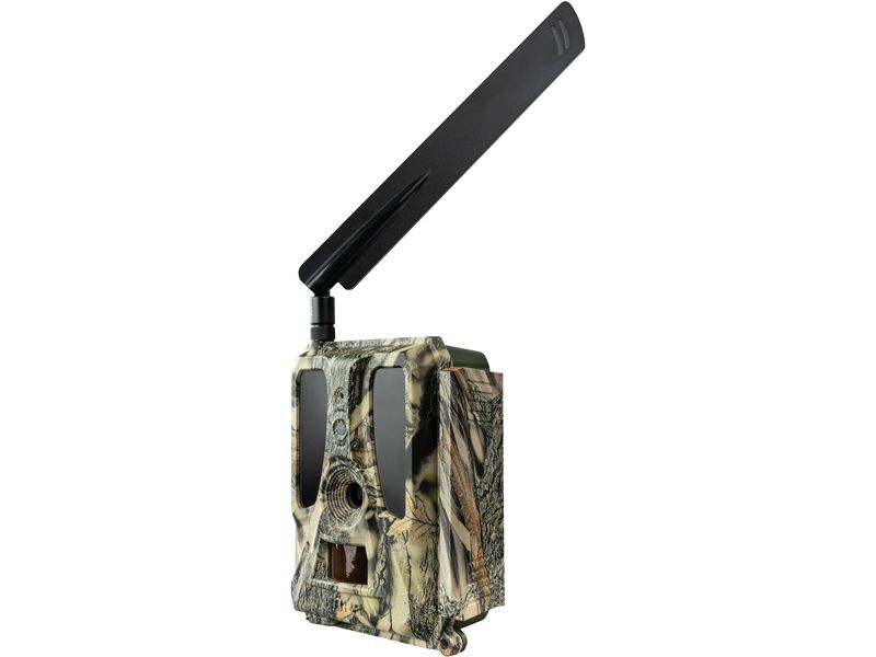 Dörr Kamera Wildkamera SnapShot Cloud Pro 4G WA Weitwinkel Überwachungskamera für hochauflösende Wildtierbeobachtung und Sicherheitsüberwachung