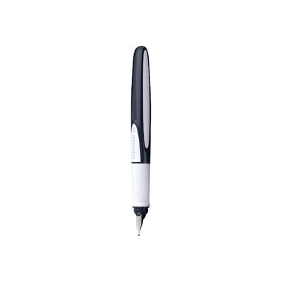 Schneider Ray - Stylo plume - gris/noir