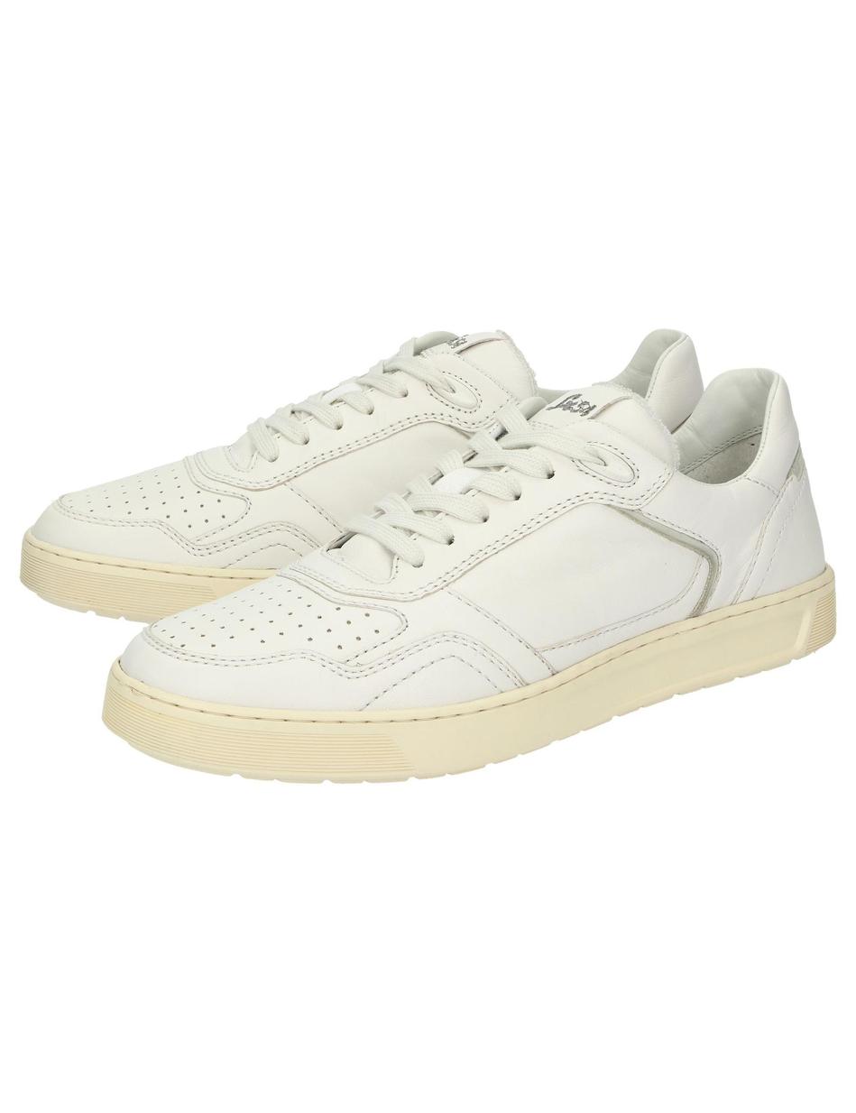Sneaker Tedroso-704