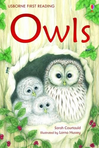 Owls - First Reading Level 4 (Hardback)