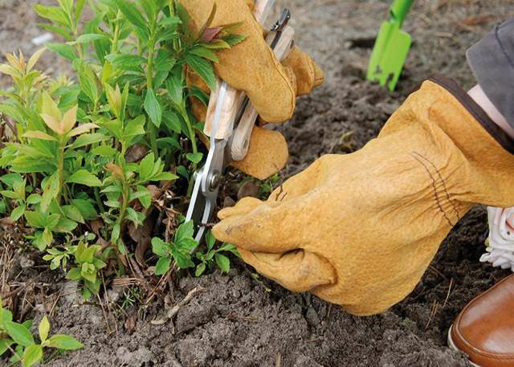 Gants jardinage en cuir