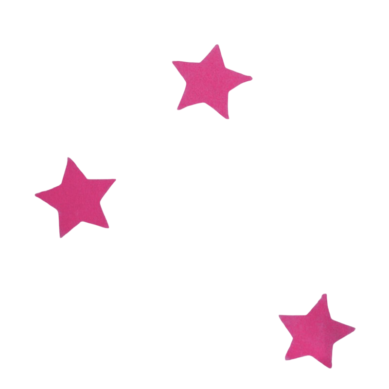 Hirsekissen 30 x 40 Pink