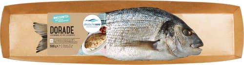 Dorade Royal