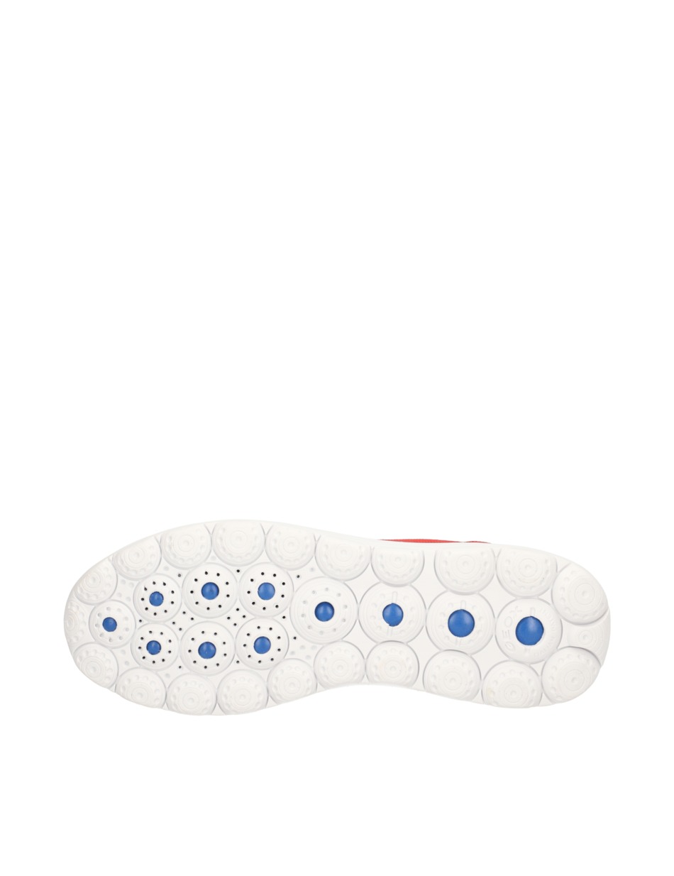 D SPHERICA
