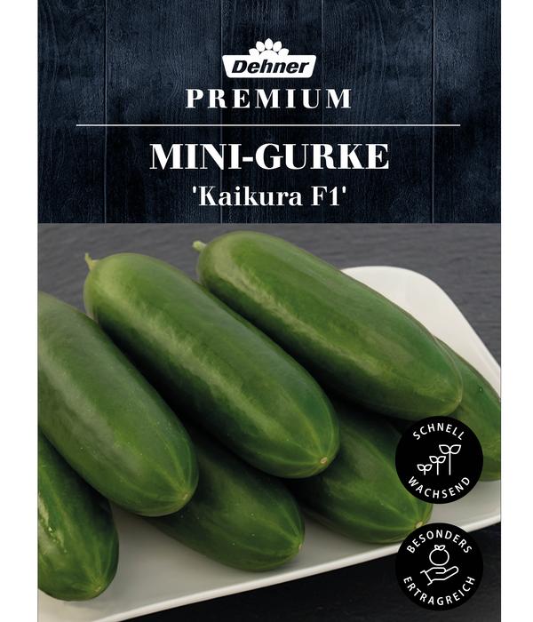 Dehner Premium Samen Mini-Gurke 'Kaikura F1'