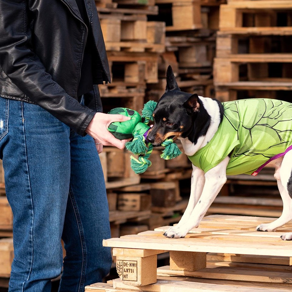 Cerda Pets - Cuerda Dental legetøj - Avengers Hulk