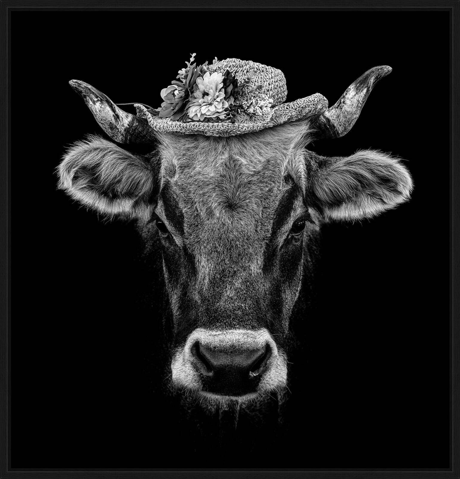 Ortensia by Claudio Gotsch - Limited Edition. Edition of: 150. Signed.