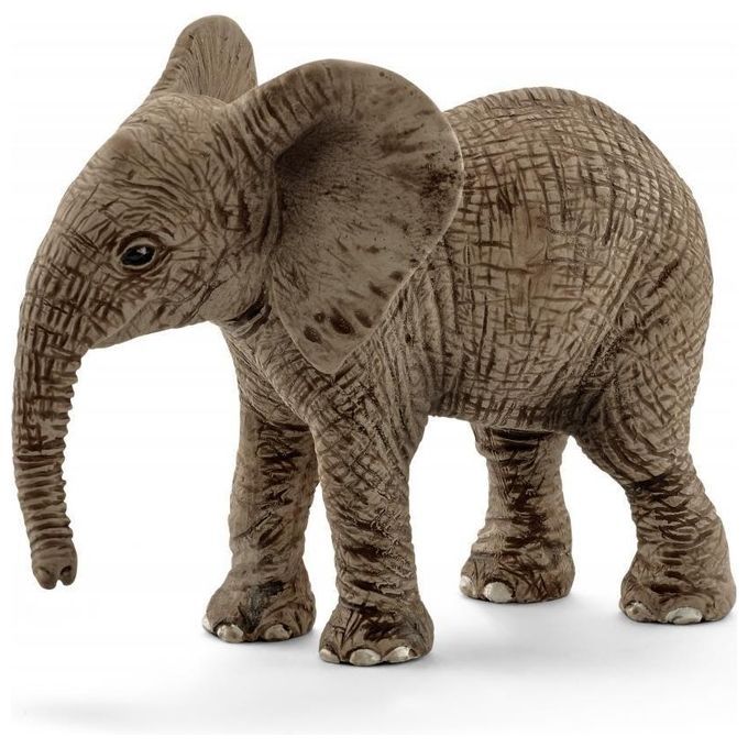 Schleich Safari - Afrikanisches Elefantenbaby