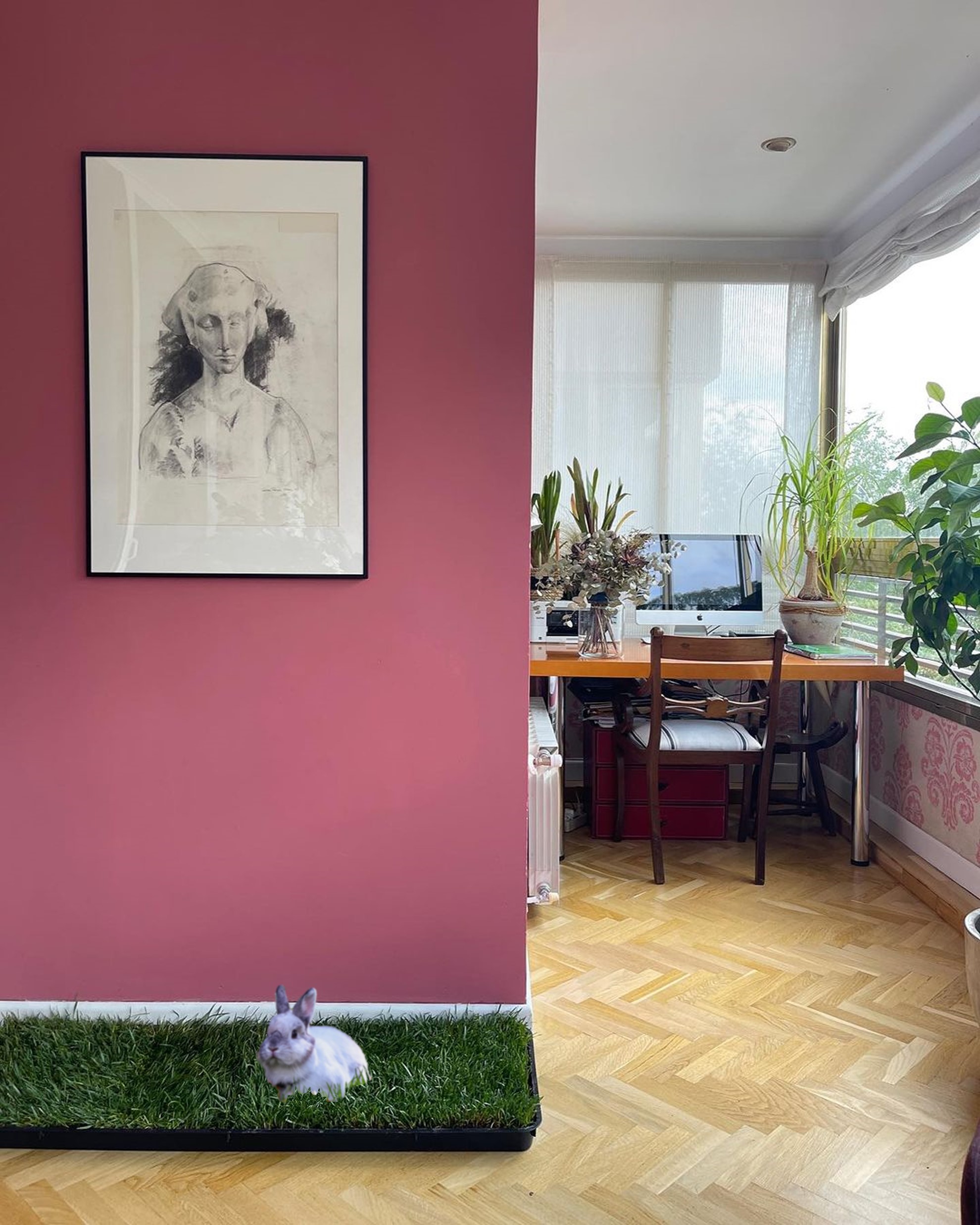 Refil Petground XL, Cama para Cães, Tapete de Treinamento, Tapete Olfativo, Grama Natural
