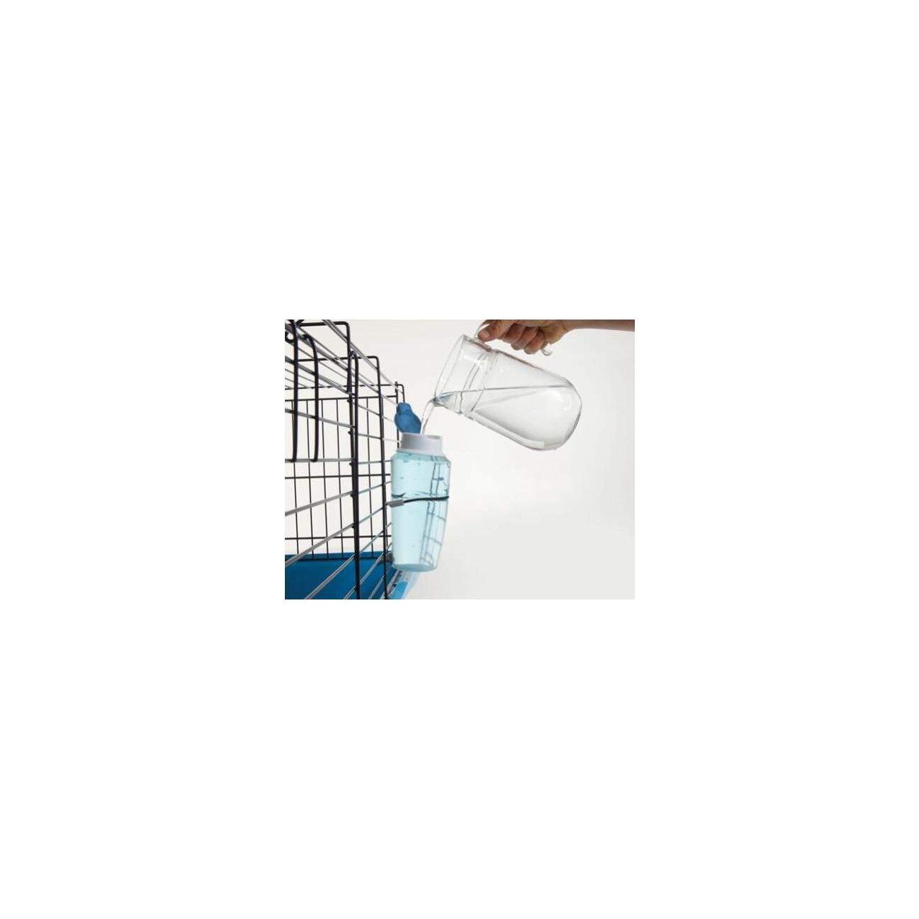 Savic Trinkflasche Source 300 ml
