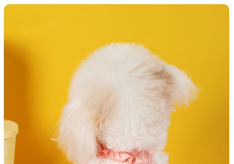 Cissilli - Pet Top met linthart