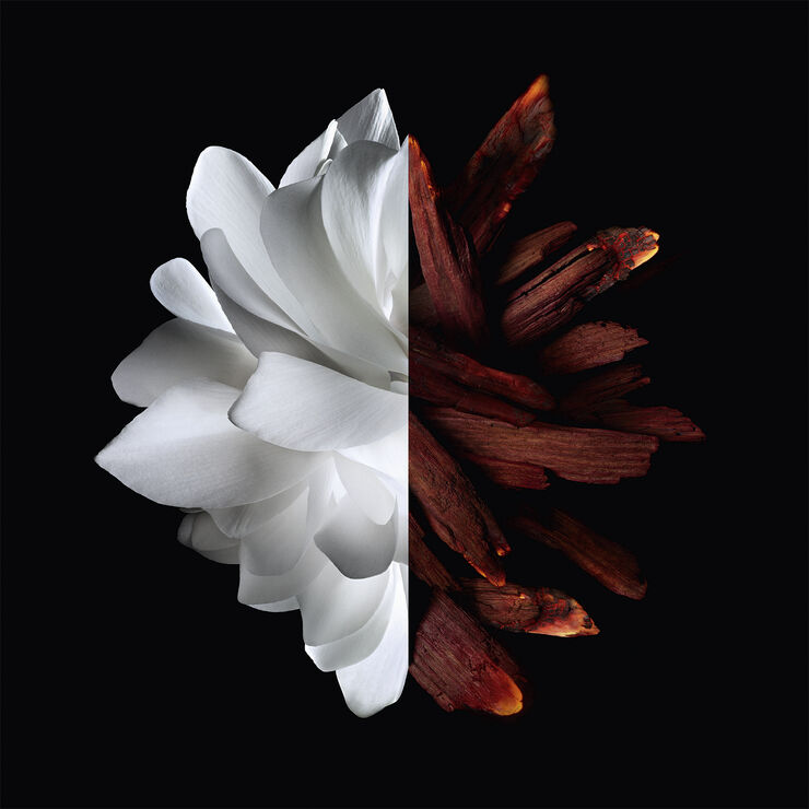 Givenchy Givenchy L'Interdit rouge Eau de parfum