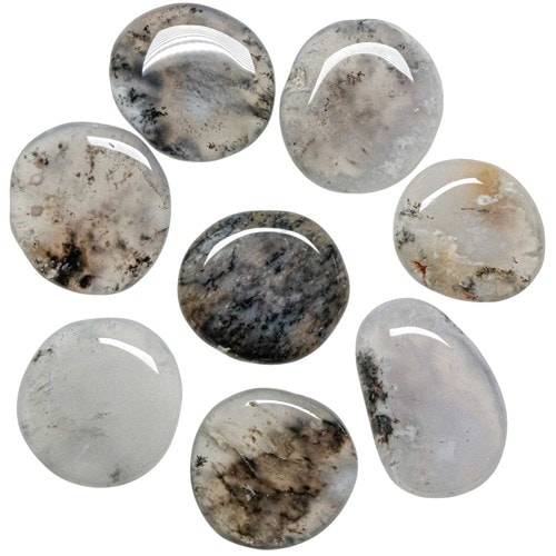 Galet plat agate dendritique - a l'unité