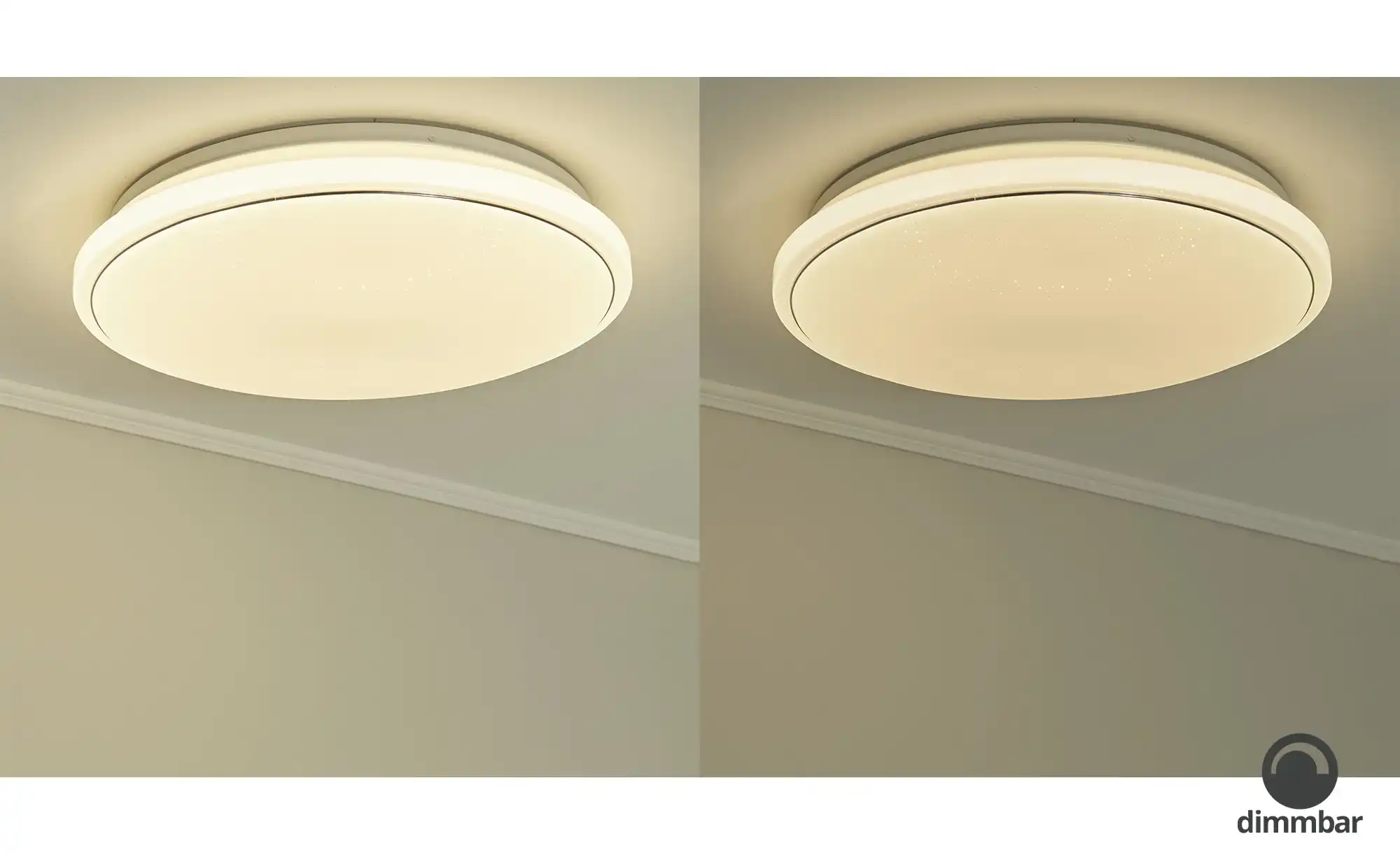 Paul Neuhaus Smart Home-Deckenleuchte, 1-flammig
