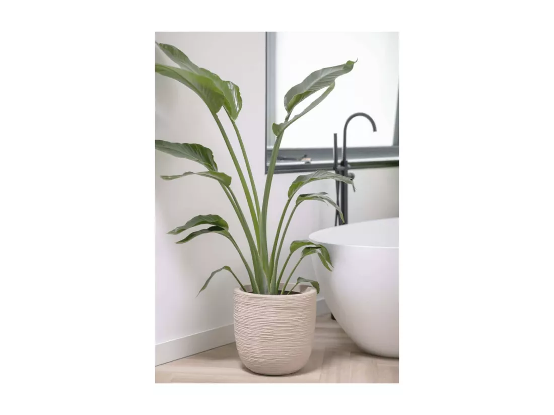 Pot à fleurs Waste Rib 35x34 cm Beige terrazzo