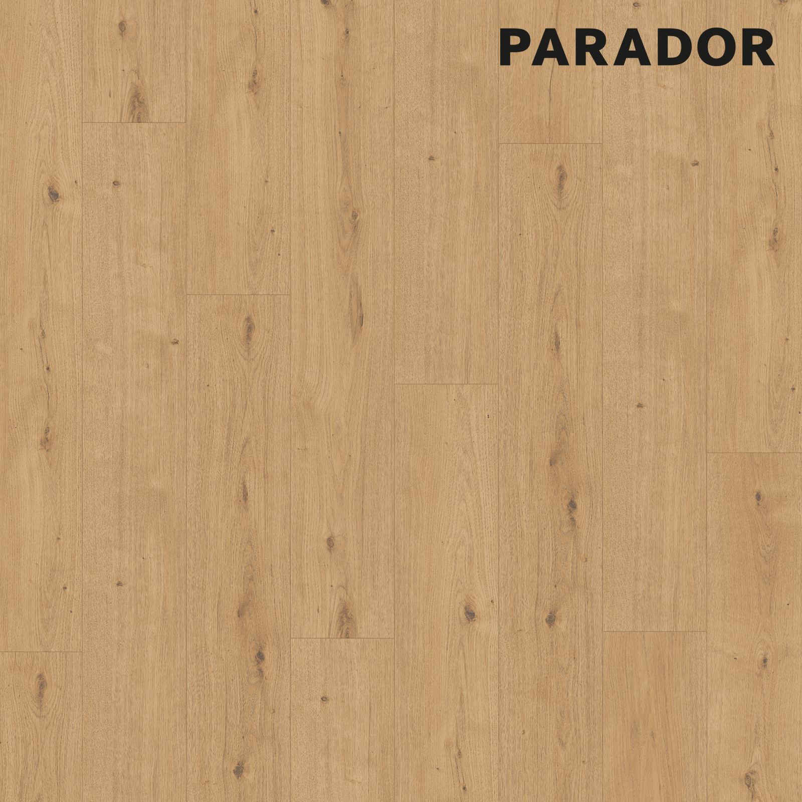 PARADOR Designboden MODULAR ONE - Eiche Atmosphere natur - 8 mm