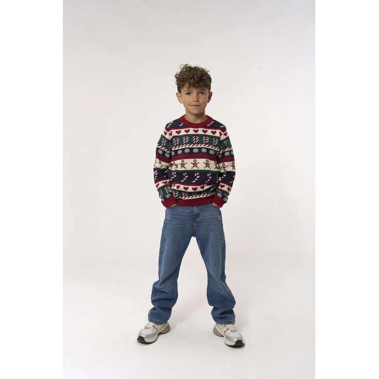 The New TNHoliday Jacquard Pullover Multi colour