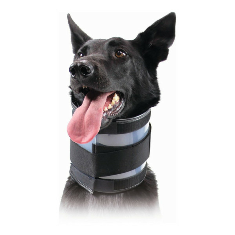 Collier cervical pour chiens noir (6-28 cm)