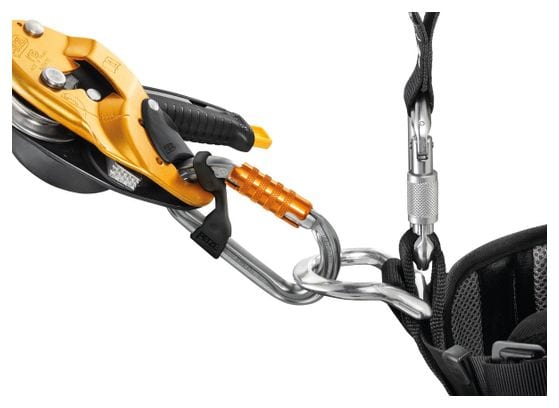 Mousqueton Petzl Am'D Screw-Lock Gris