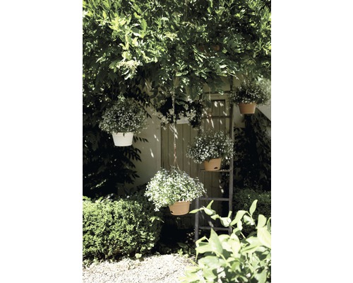elho Green Basics hangende plantenbakset, kunststof, Ø 28 cm, H 18 cm, terracotta, inclusief houder en schotel