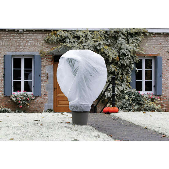 Voile d'hivernage Wintertex en polypropylène non tissé 30g/m² - 2x10m