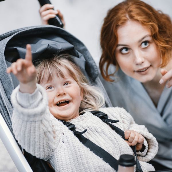 Thule Shine Kinderwagen 2-in-1 Black / Alaska Blue