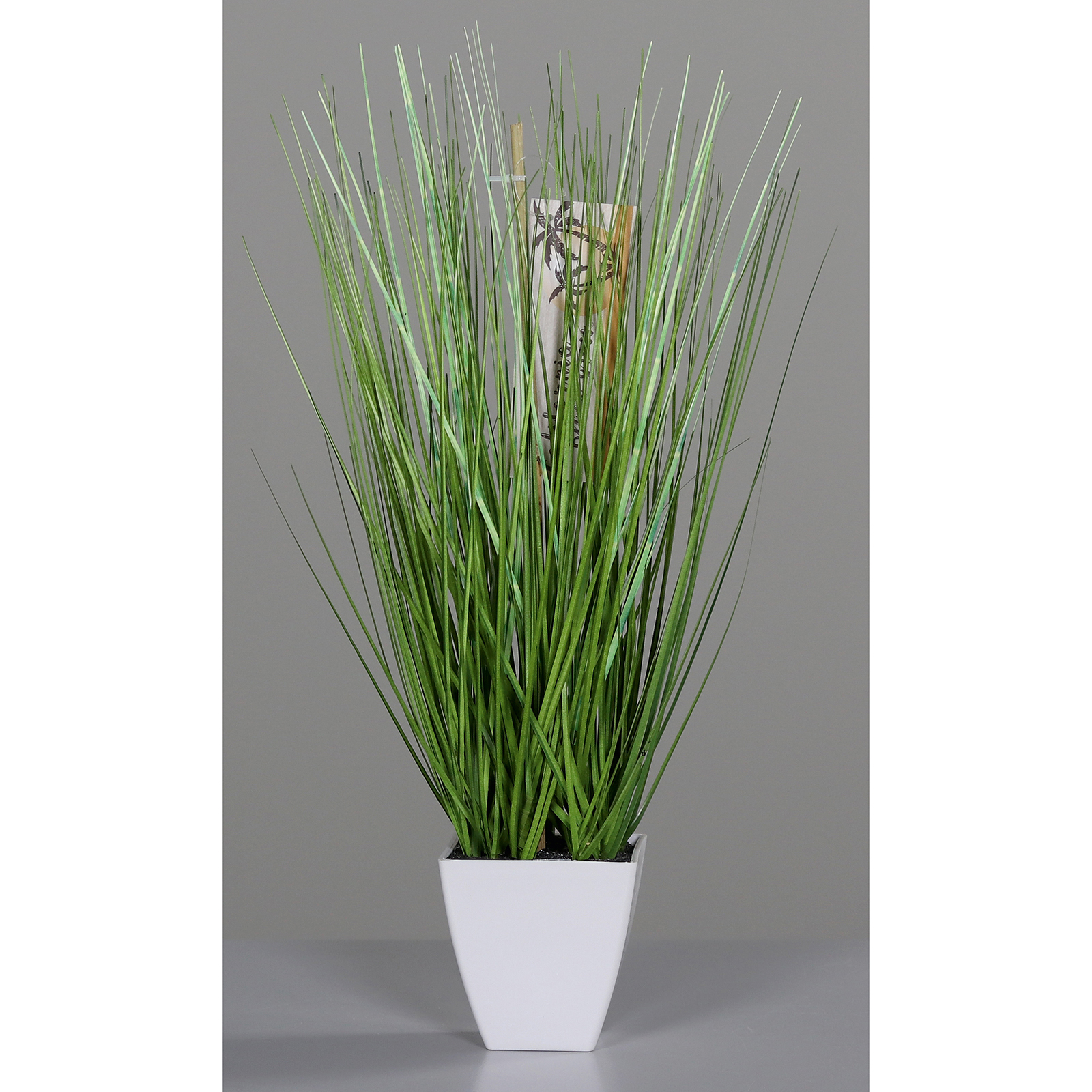 Beach-Gras - california green - 42 cm hoch