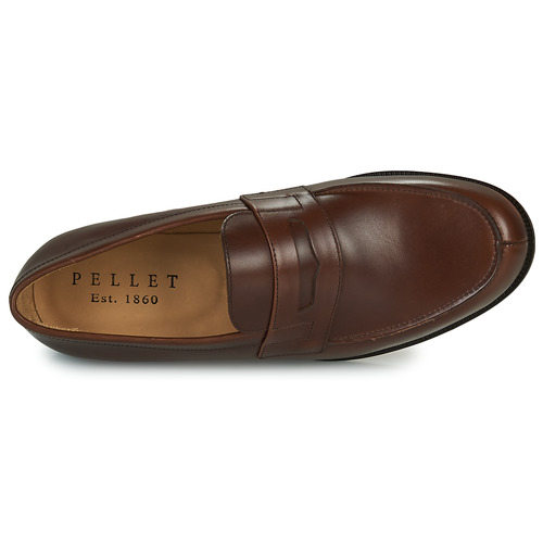 Pellet - Colbert - VEAU PULL BRUN