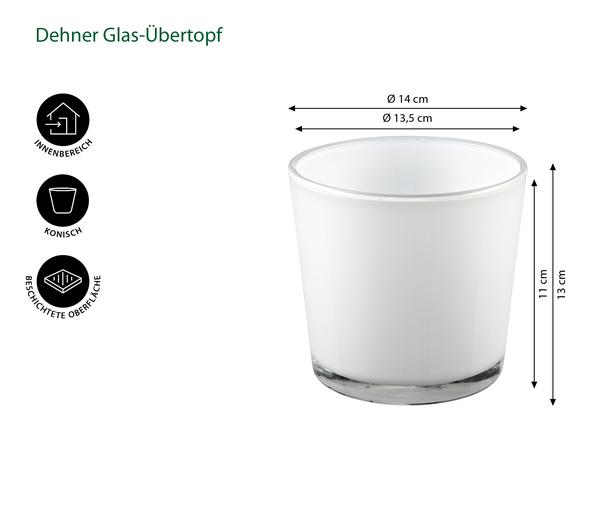 Dehner Glas-Übertopf Conner, konisch