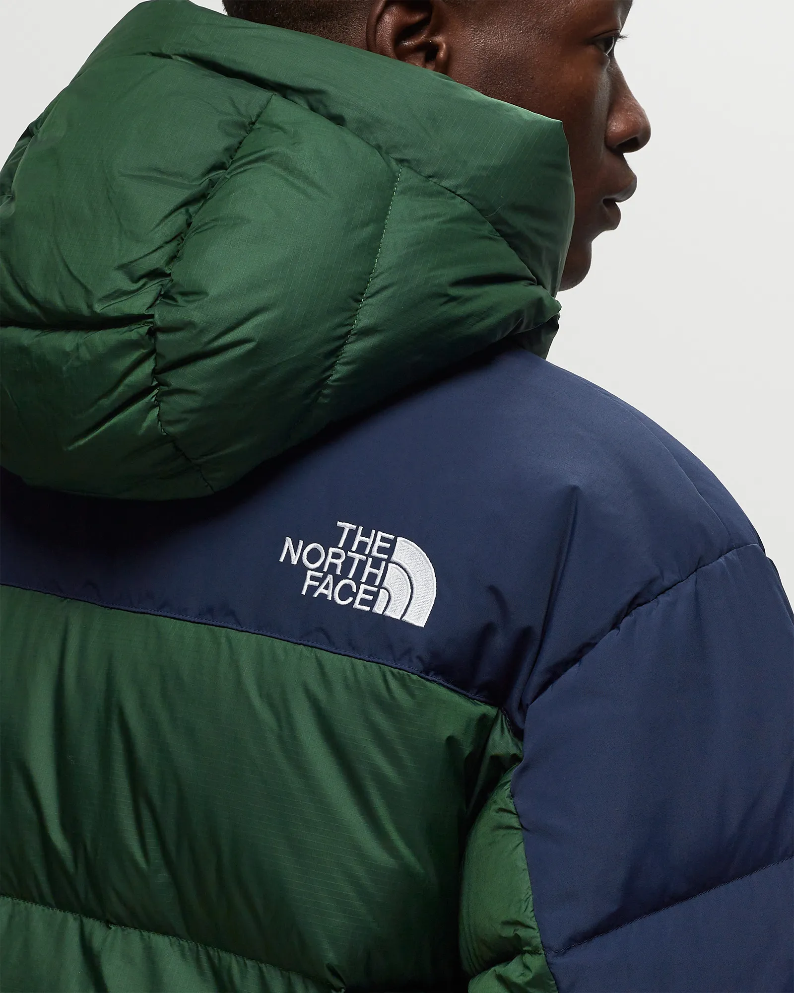 The North Face Hmlyn Down Parka