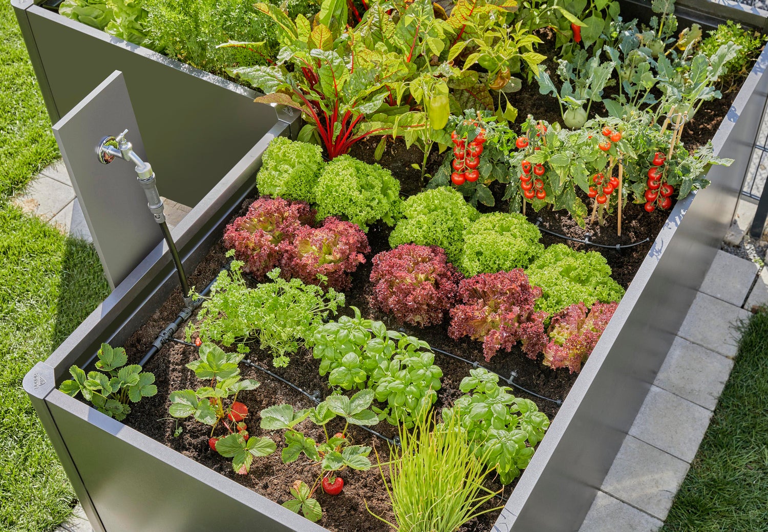 Gardena Micro Drip systeem druppelaar startset verhoogde bloembedden en moestuinen 35 planten