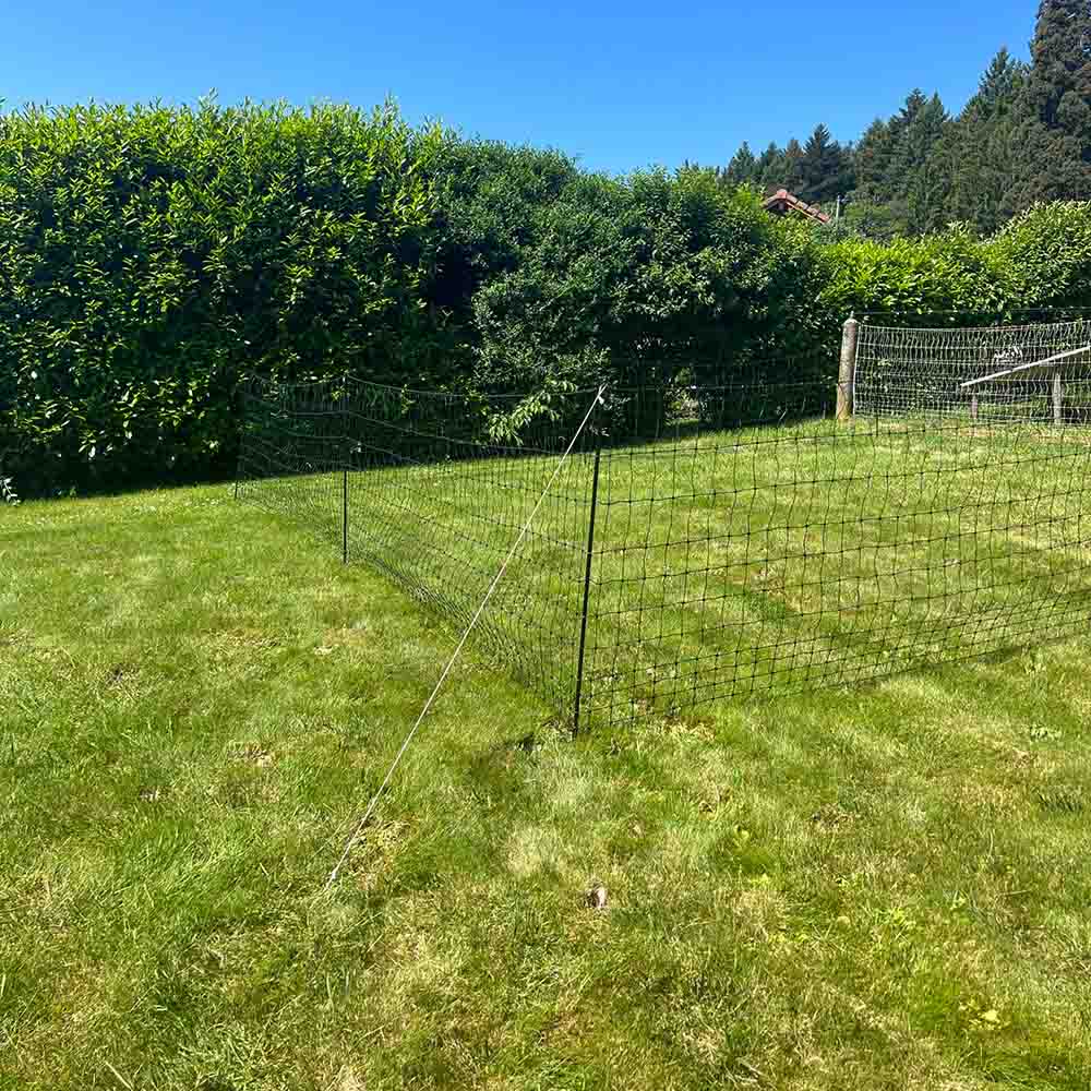 Filet volaille piquets renforcés 25 m, h 1.1 m