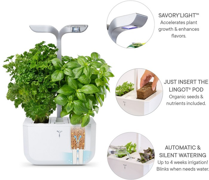 (2-fach) Exky Smart Kräutergarten Indoor Gemüse Beet Blumen Anzucht mit LED Beleuchtung / Wassertank (VEXK-SAWAS-FR-40) - Arctic White