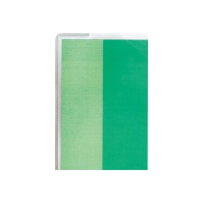 GBC HeatSeal Document Pouch - pack de 100 - brillant - 303 x 426 mm - pochettes plastifiées