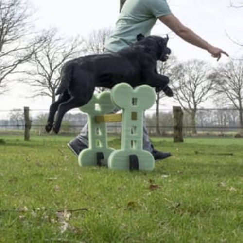 Jogo de agilidade para cães verdes
