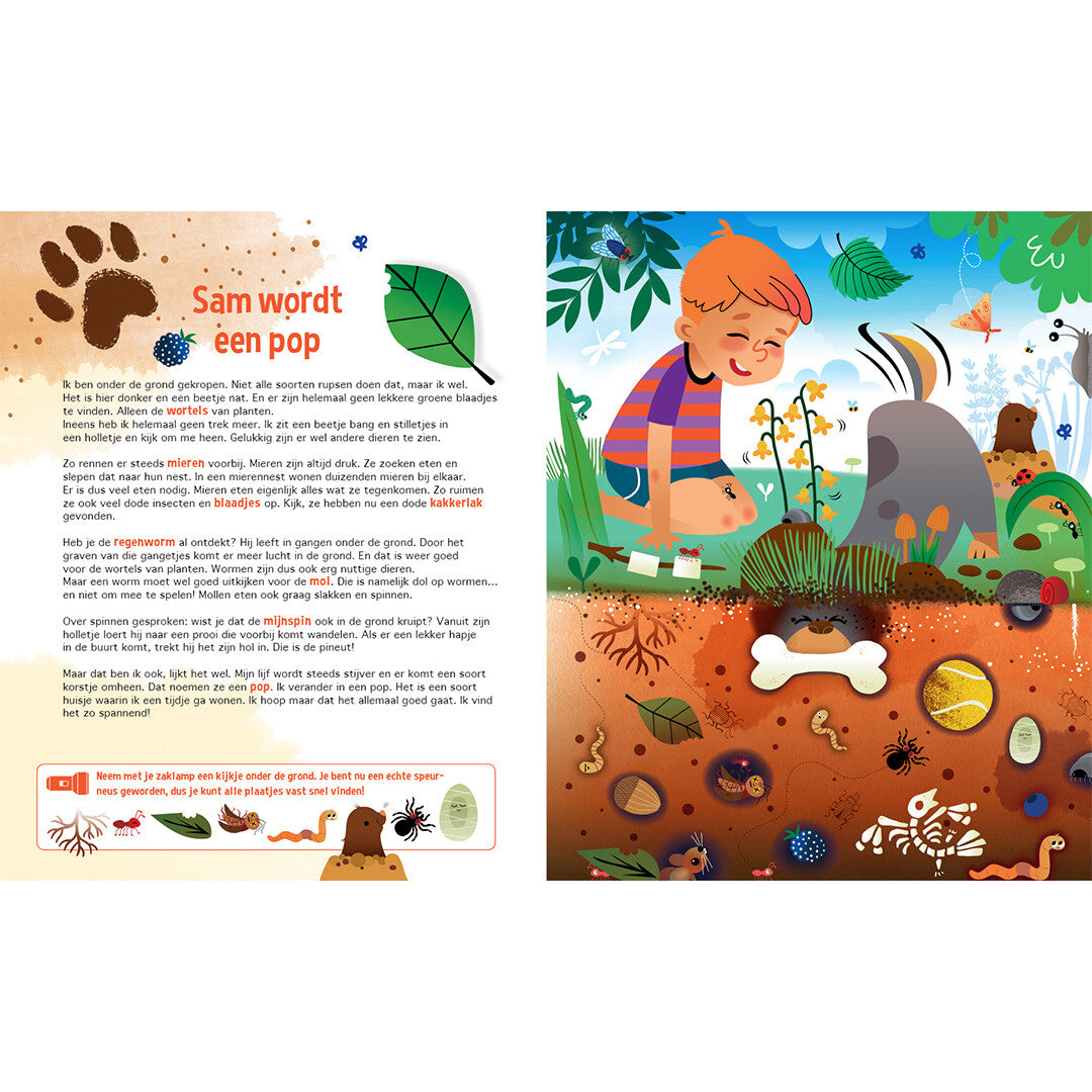 Lantaarn publishers speuren naar insecten