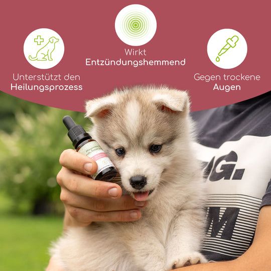 Wolfsbacher Natur Augentropfen