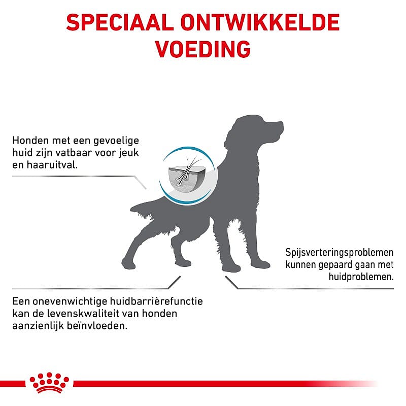 ROYAL CANIN® Skin Care - Dieetvoeding voor als je volwassen hond een huidaandoening of overmatige haaruitval heeft