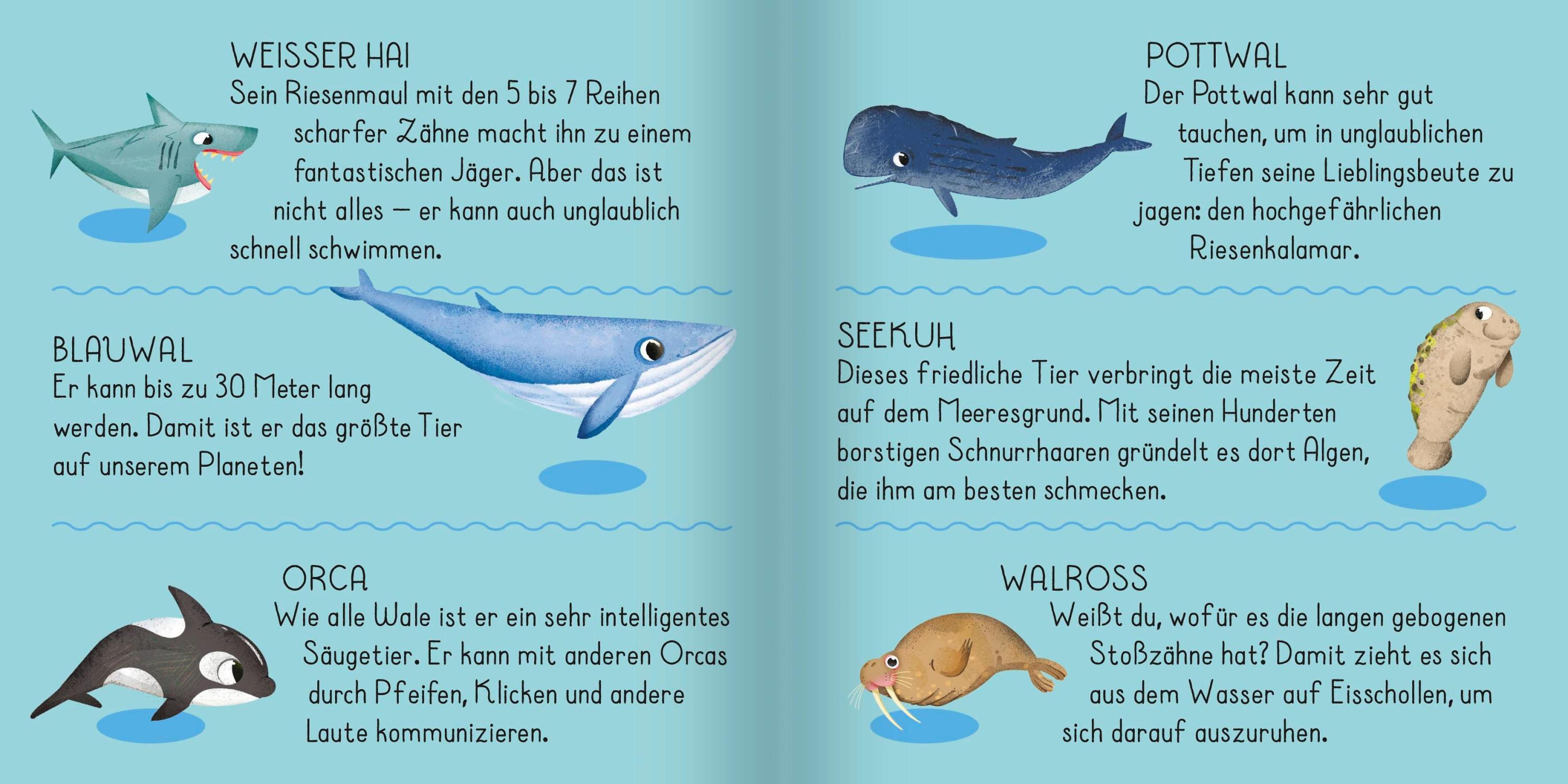 Meine erste Puzzle-Box. Der Ozean