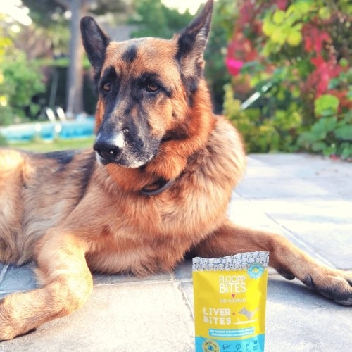 FlooppBITES Snacks 100% naturais com sabor de fígado de boi.