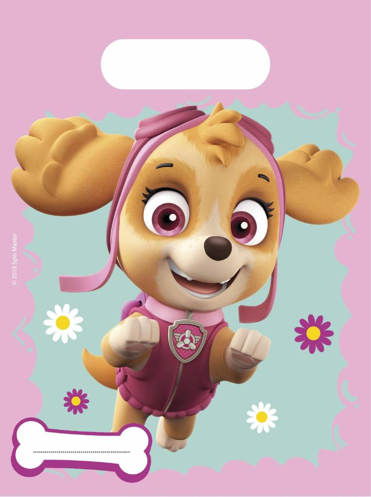 Paw Patrol Uitdeelzakjes Skye And Everest 23cm 6st