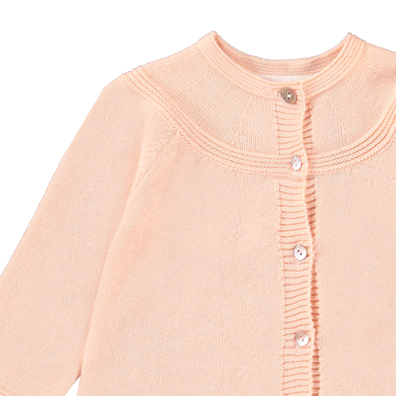 Gisela - Fluffy Rose