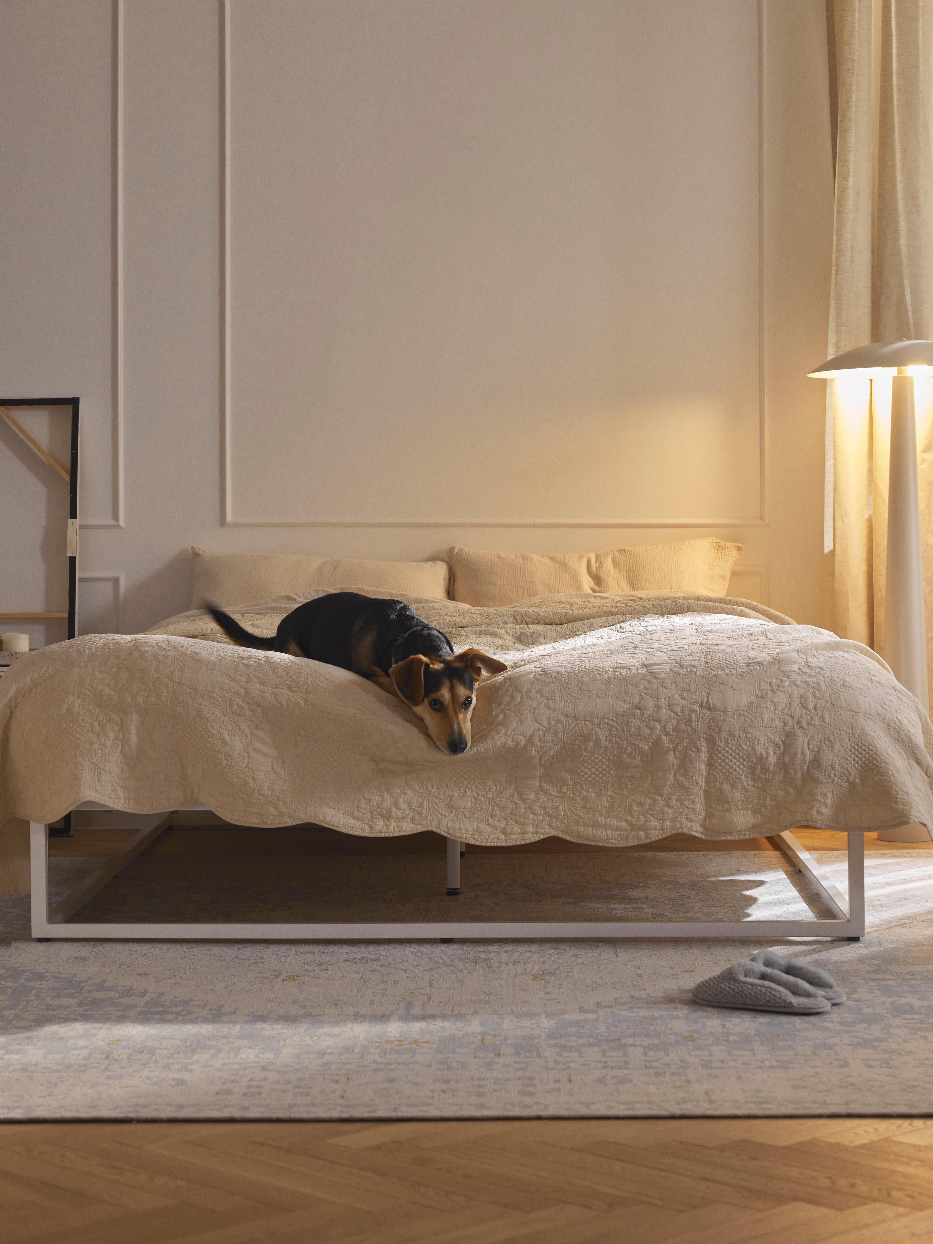 Metalen bed Neptun