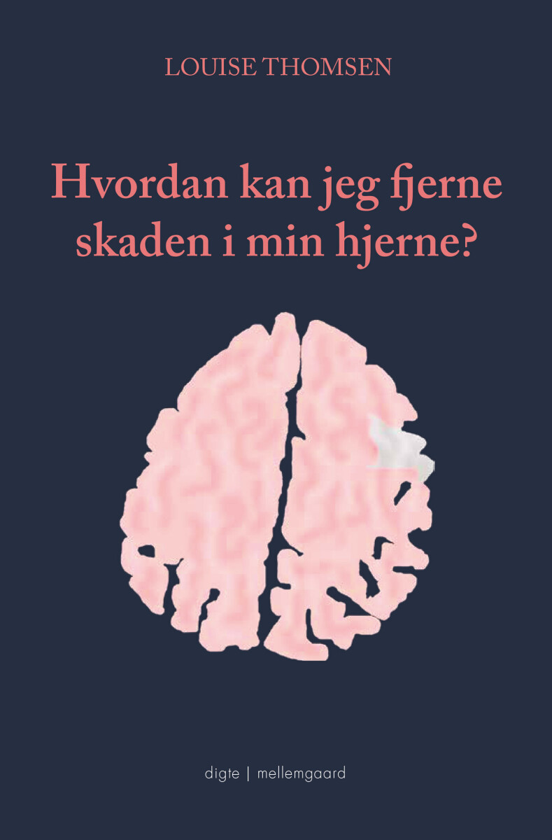 Hvordan Kan Jeg Fjerne Skaden I Min Hjerne? - Louise Thomsen - Bog