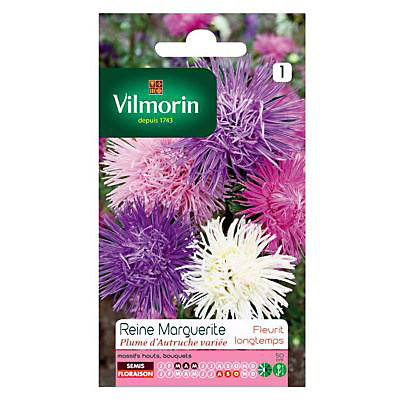 Graines de Reine-Marguerite Plume d'Autruche Variée Vilmorin